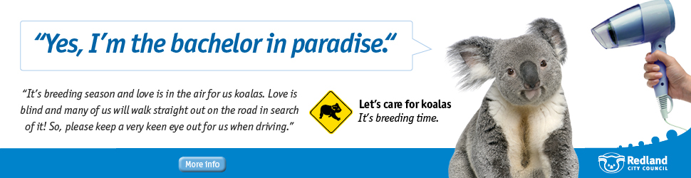 Koala conservation campaign billboard 