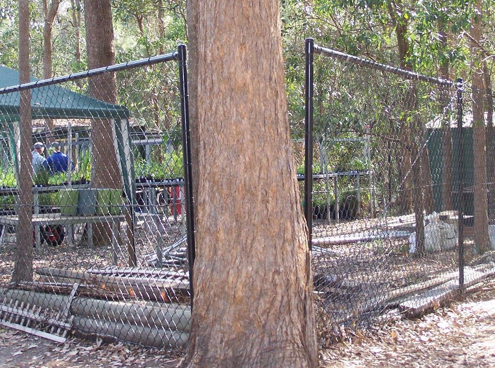Wildlife friendly fencing in the Redlands