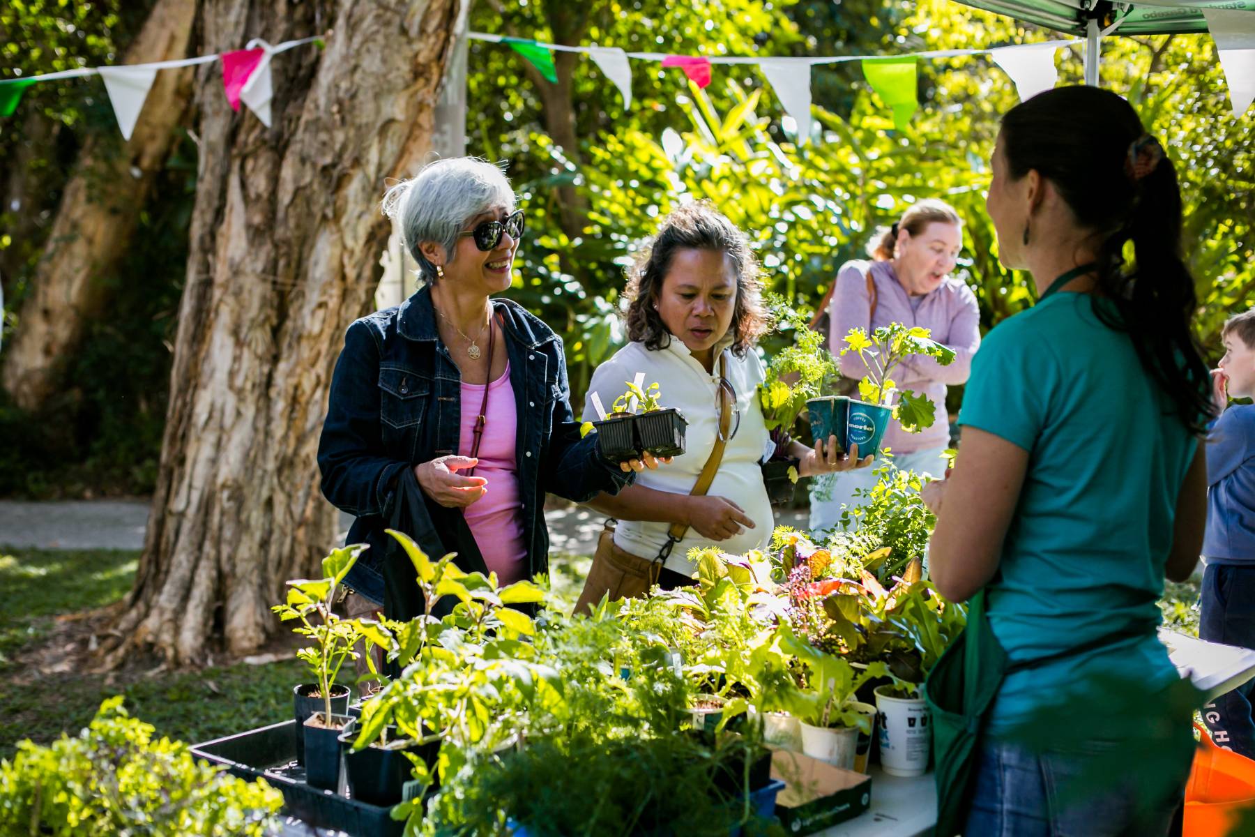 Plant stall at market