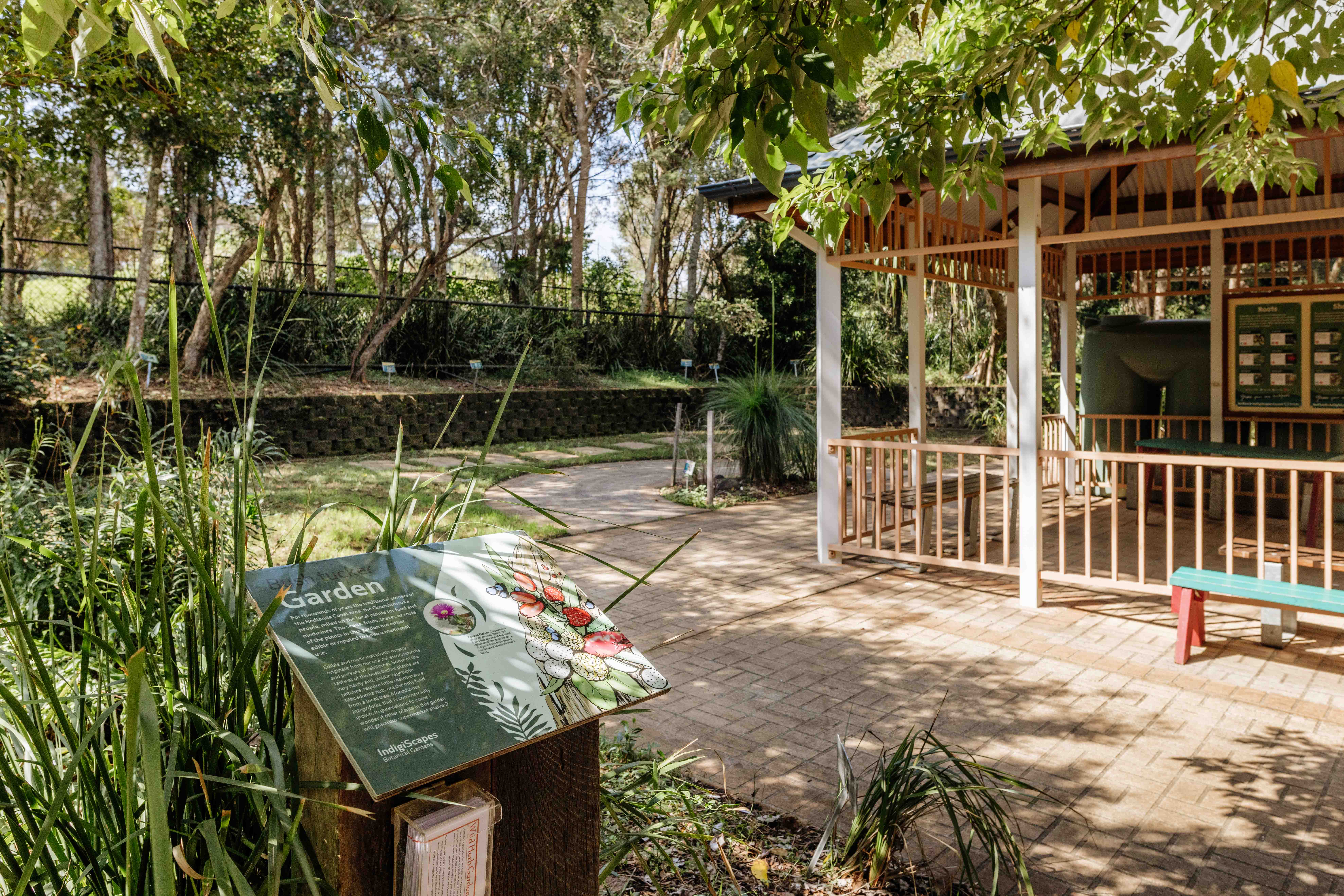 Bush Tucker garden