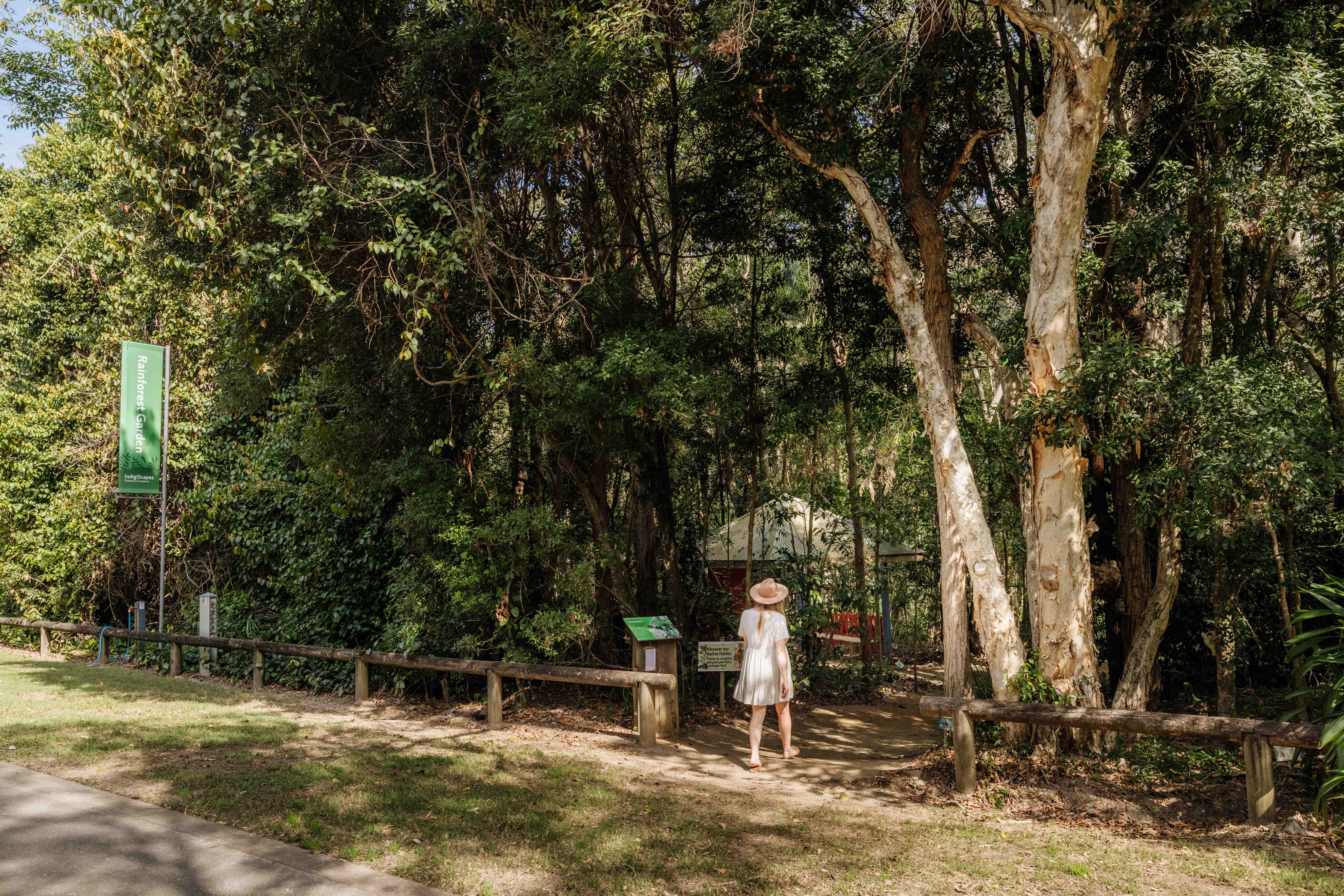 Indigiscapes Gardens rainforest