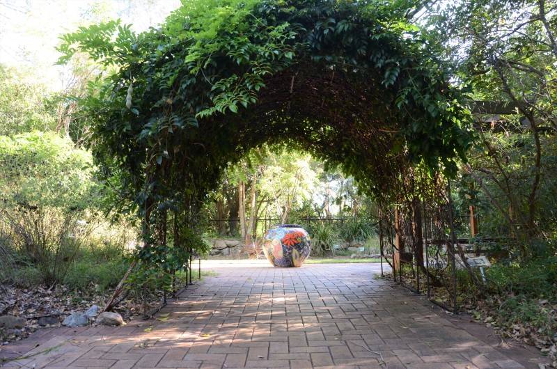 Native plants butterfly garden