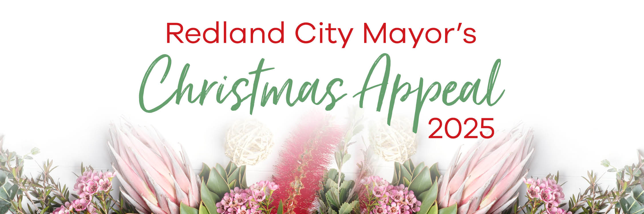 03661-Mayors-Christmas-Appeal_Campaign-image_1080x360px.jpg