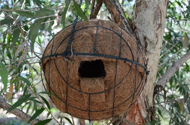 Possum dry nest box