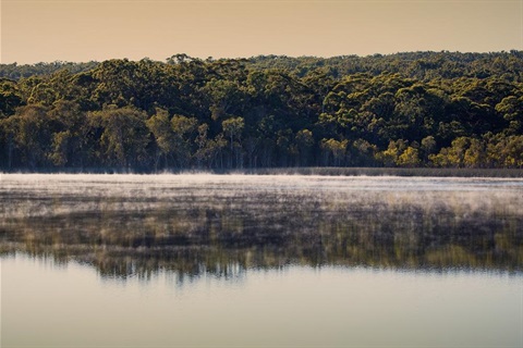Photo of Brown Lake area at North Stradbroke Island